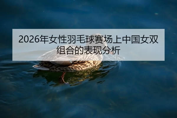 2026年女性羽毛球赛场上中国女双组合的表现分析