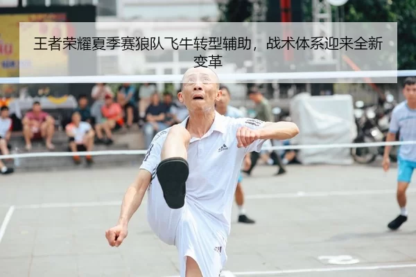 wang-zhe-rong-yao-xia-ji-sai-lang-dui-fei-niu-zhuan-xing-fu-zhu-zhan-shu-ti-xi-ying-lai-quan-xin-bian-ge-3-691.jpg