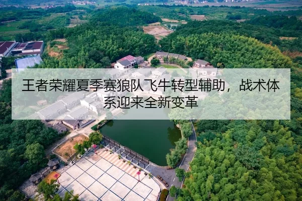 王者荣耀夏季赛狼队飞牛转型辅助，战术体系迎来全新变革