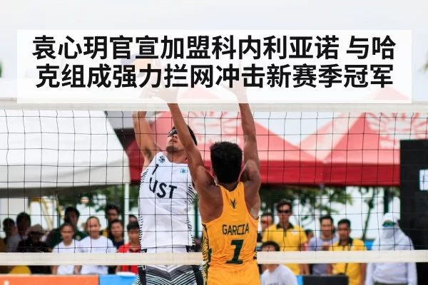 volleyball double block