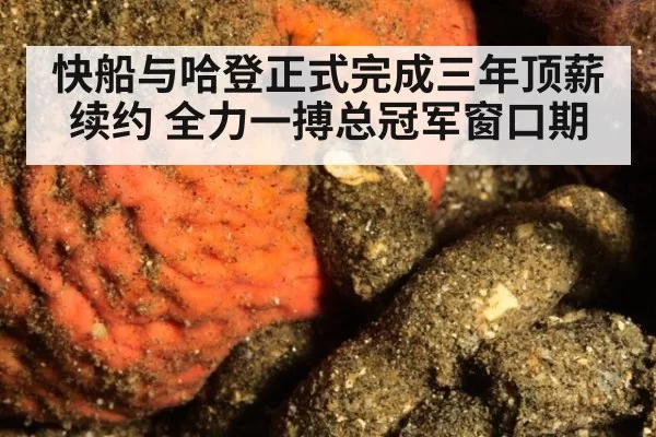快船与哈登正式完成三年顶薪续约 全力一搏总冠军窗口期