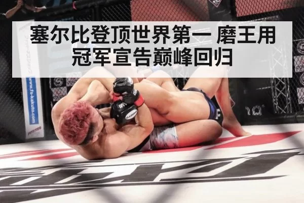塞尔比登顶世界第一 磨王用冠军宣告巅峰回归